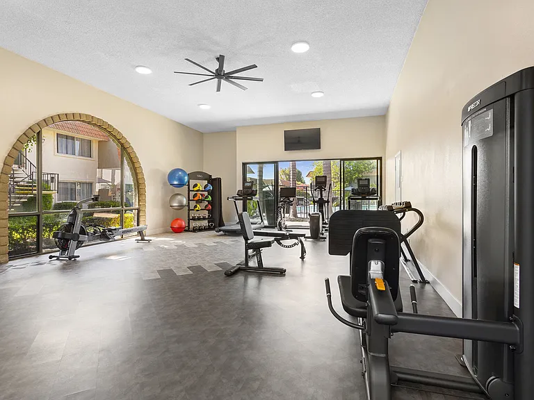 Terra Camarillo — Photo 19