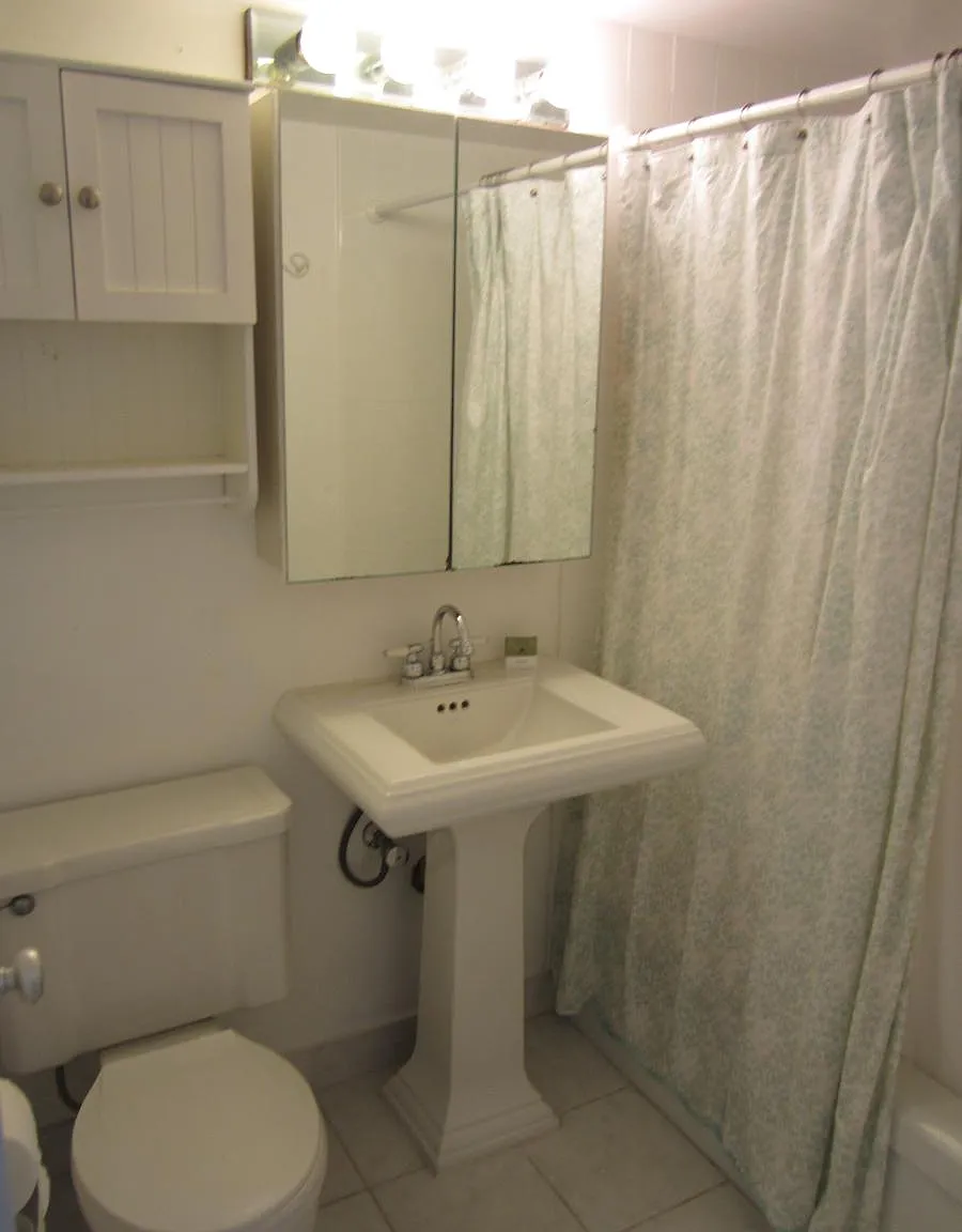 1 bed, 534 sqft, $2,100 — Photo 3