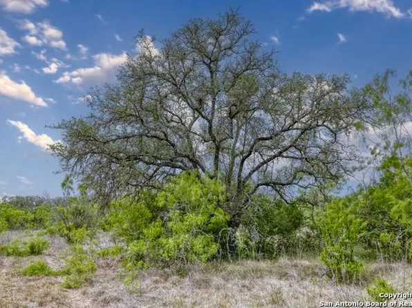 1028 Utopia Rd, D Hanis, TX 78850