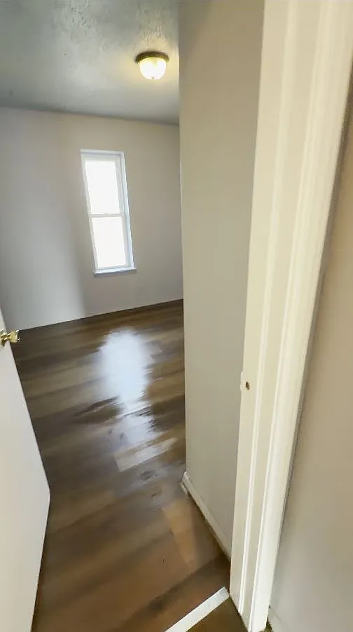 1509 Hardwood Grove Street - 1 — Photo 2