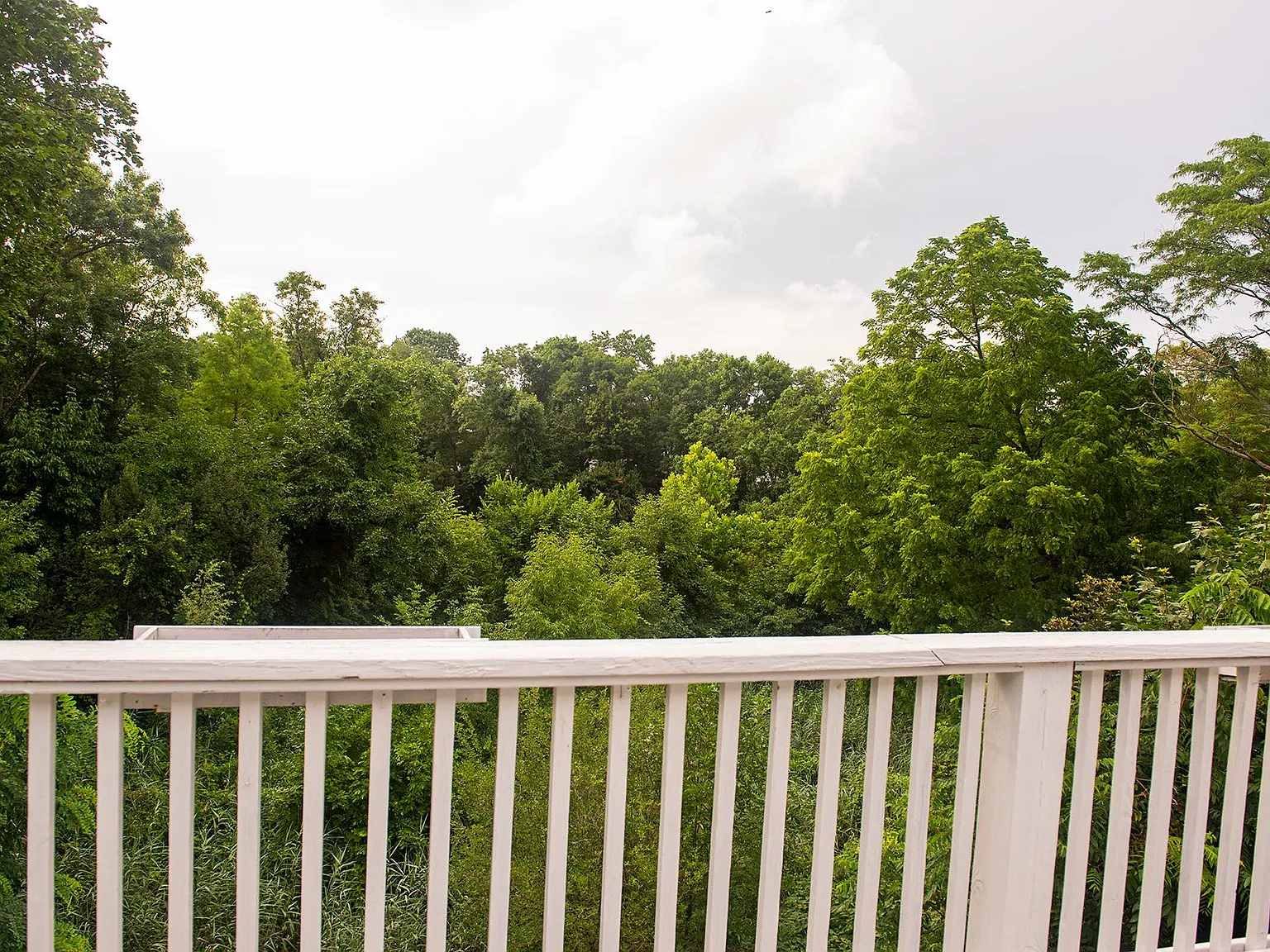 2 bed, 1.5 bath, 1116 sqft, $1,525 — Photo 3