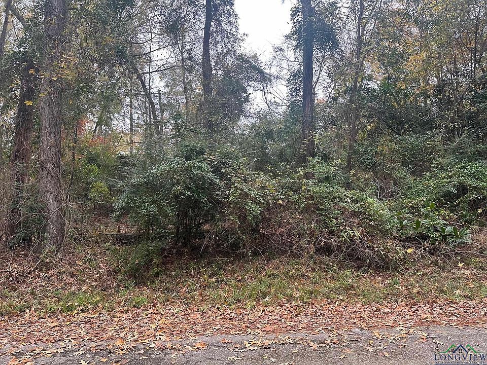 2nd image of Mockingbird Ln