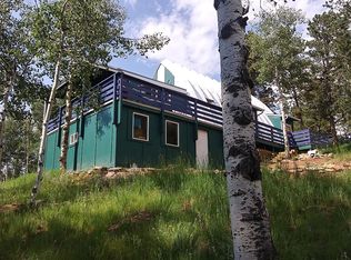 115 Midday Cir, Cripple Creek, CO 80813