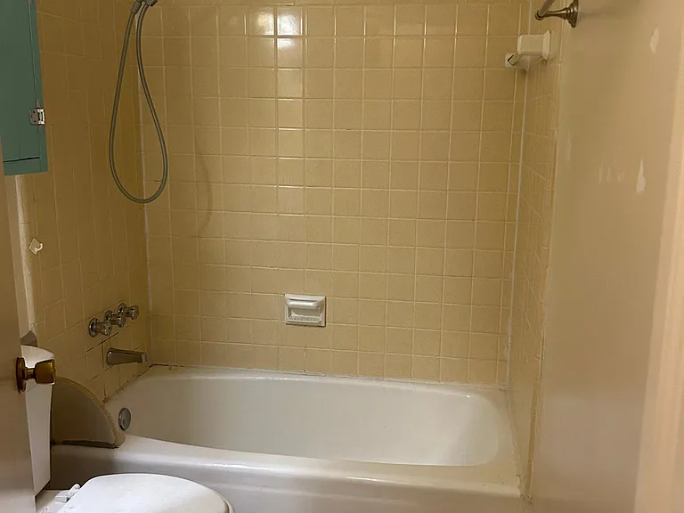 Hall Bathroom