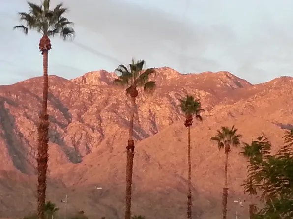 2454 E Palm Canyon Dr APT 1D, Palm Springs, CA 92264