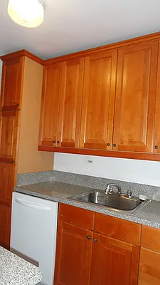 Rented by Manhattan Flats | media 15