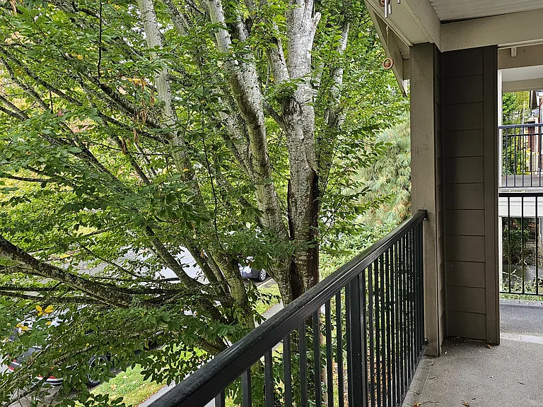 2110 Palisade Blvd #C-7 — Photo 3