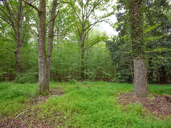 5th image of 2403 Western Park Ln
