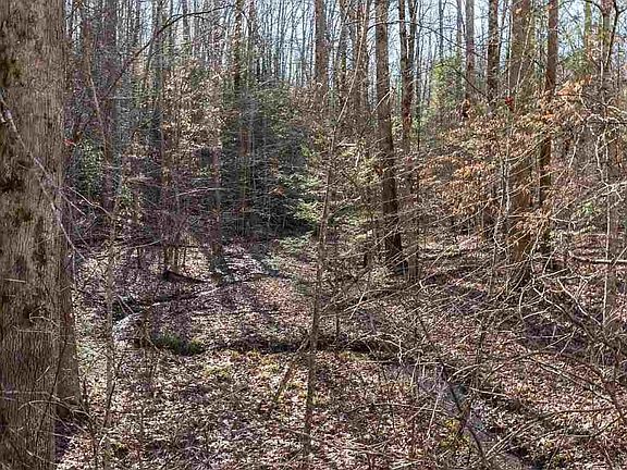 4th image of 28 Pinnacle Vista Rd Lot 28R