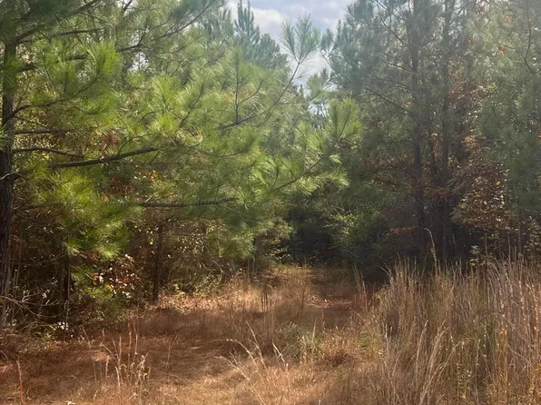 2600 Coprich Rd, Fayette, AL 35555