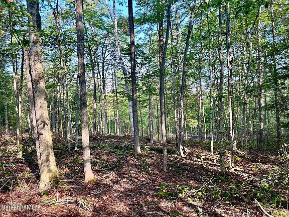 4th image of 0 Hoosac St E