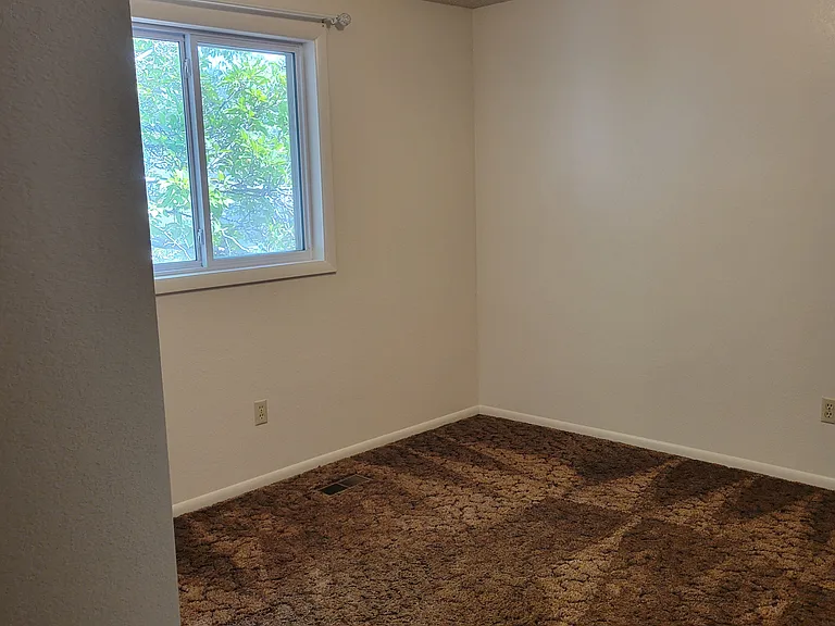 2425 Wildflower Dr — Photo 12