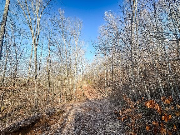 4th image of 0 Mayberry Prong Rd