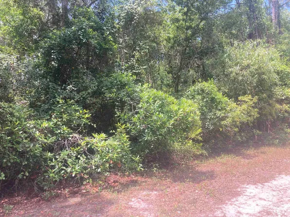 430 Palm Way, Georgetown, FL 32139
