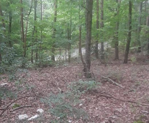 View from building site