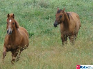 10401 Prairie Ridge Dr, Louisville, NE 68037