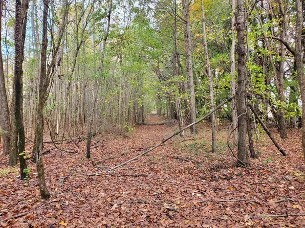 6455-6457 Highway 62, Piggott, AR 72454