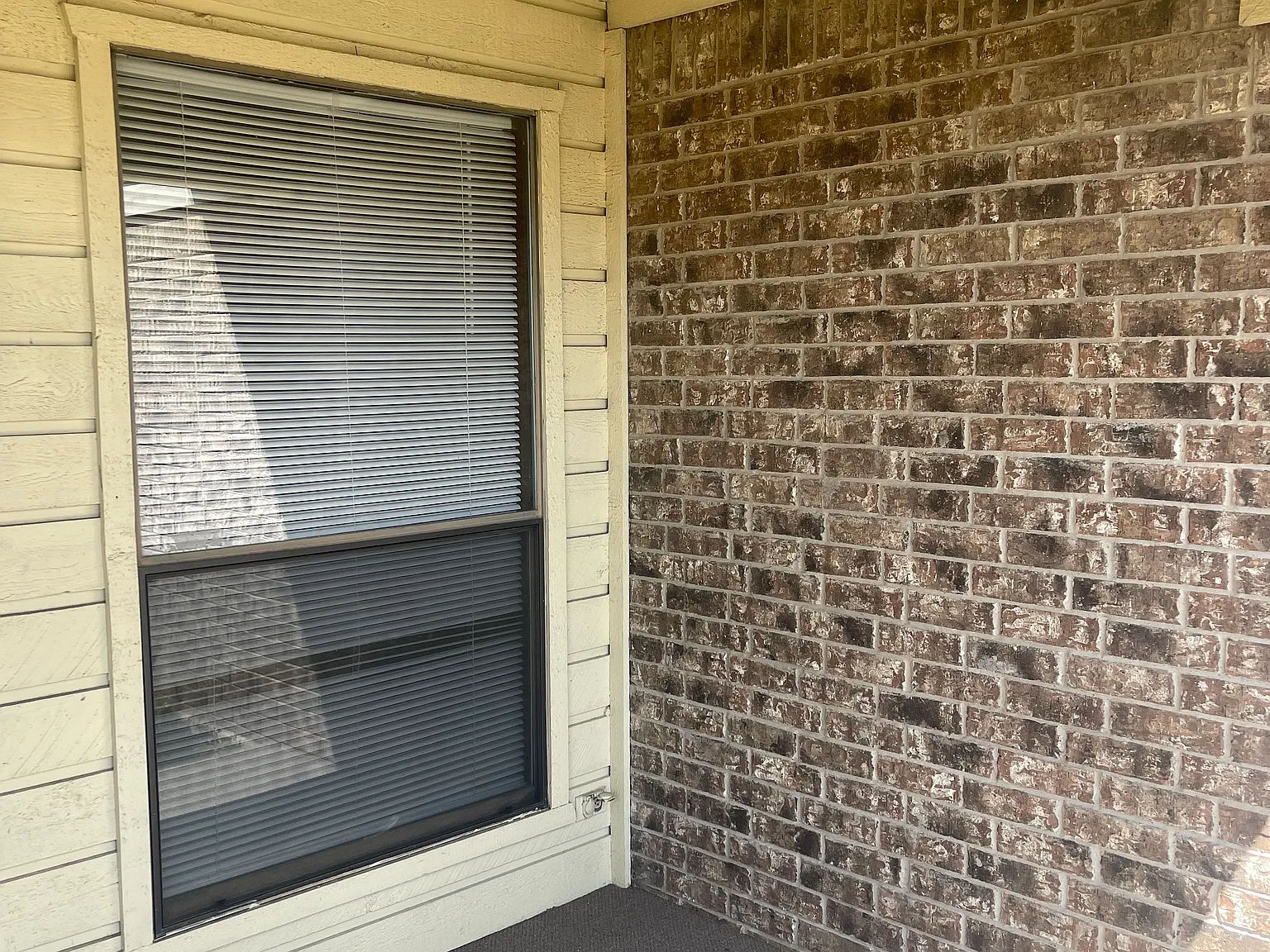 2 bed, 1707 sqft, $1,565 — Photo 4