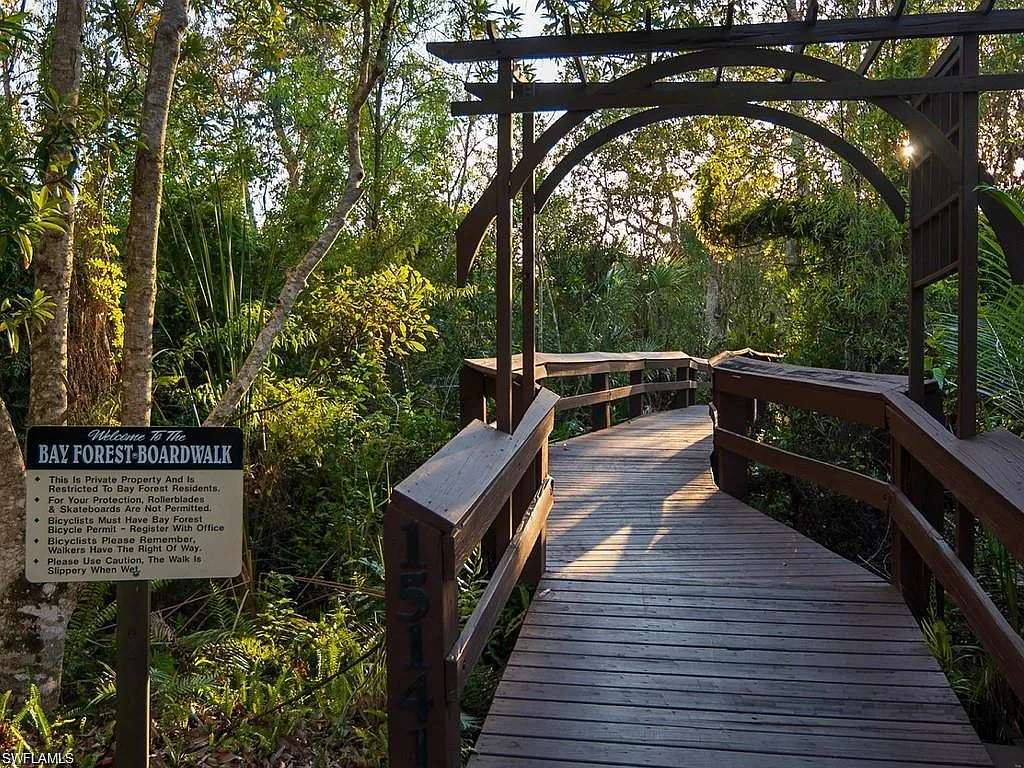 Bay Forest — Photo 4
