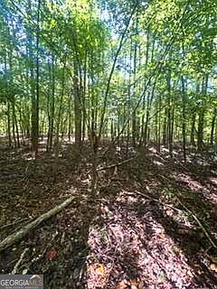 4th image of 2607 Hughes Rd