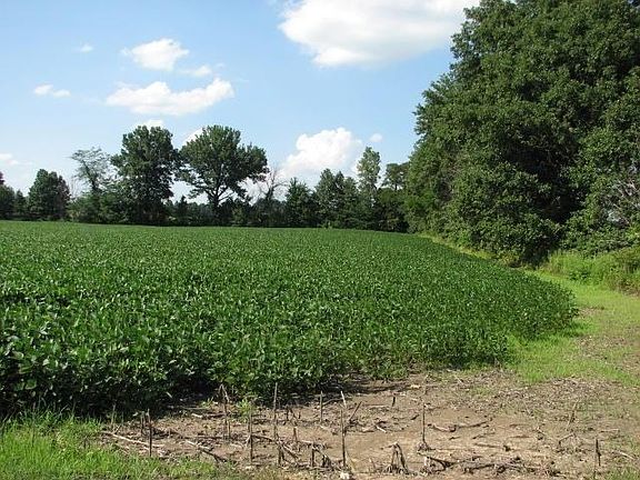 North along East Side