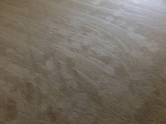 5th image of 608 Saddlecreek Ct