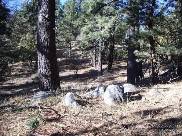 25841 Wilderness Way #257, Tehachapi, CA 93561