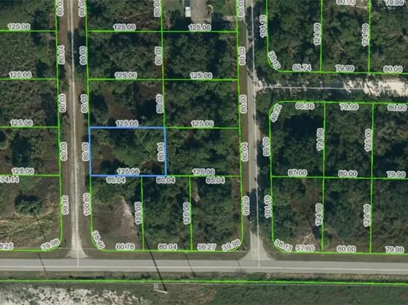 354 Frederick St NW, Lake Placid, FL 33852