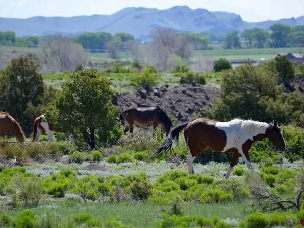 70 Expedition Drive, South Fork, CO 81154