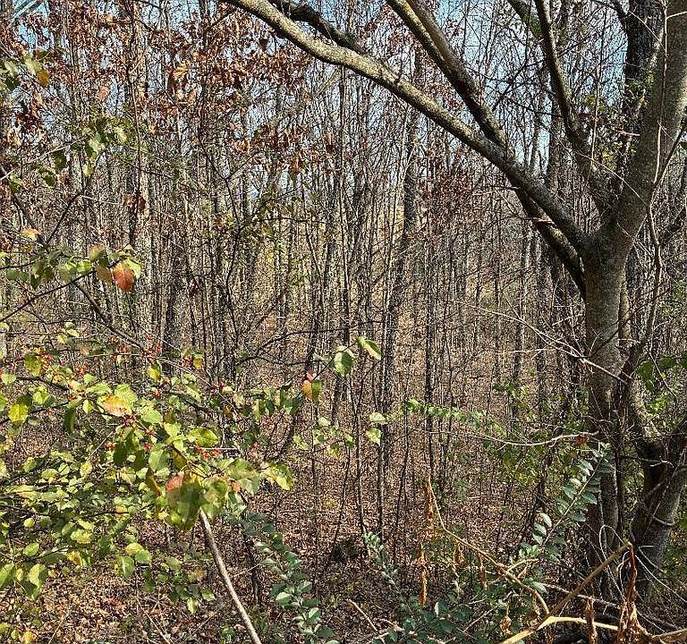 1st image of 0 Poplar Ave Lot 31