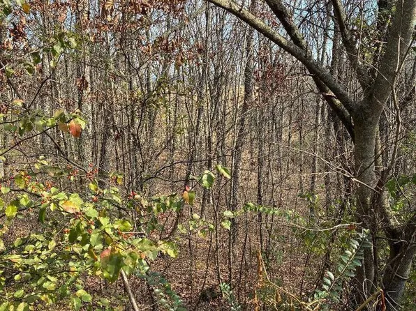 0 Poplar Ave Lot 31, Sweetwater, TN 37874