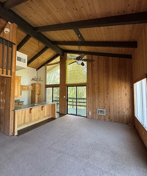 29641 Jamaica Dunes Dr — Photo 10