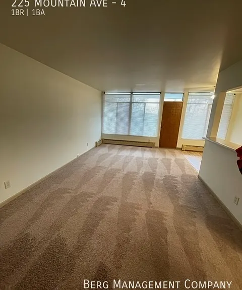 225 Mountain Ave #4 — Photo 3