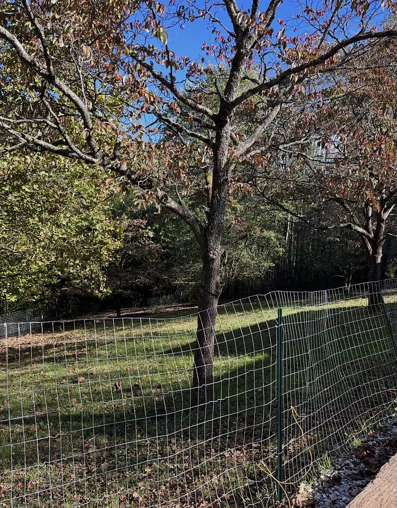 2 bed, 1.5 bath, $1,500 — Photo 2