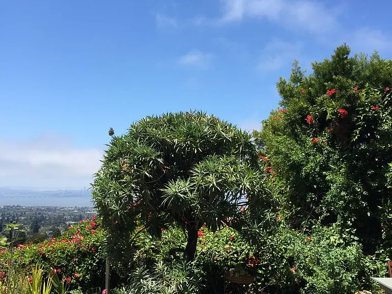 798 Santa Barbara Rd — Photo 16