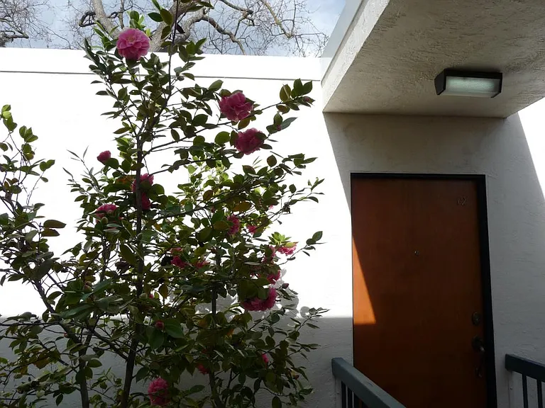 FULLY FURNISHED CONDO, front door just steps from carport