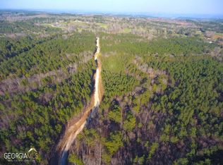 8 Spring Rd, Dallas, GA 30132