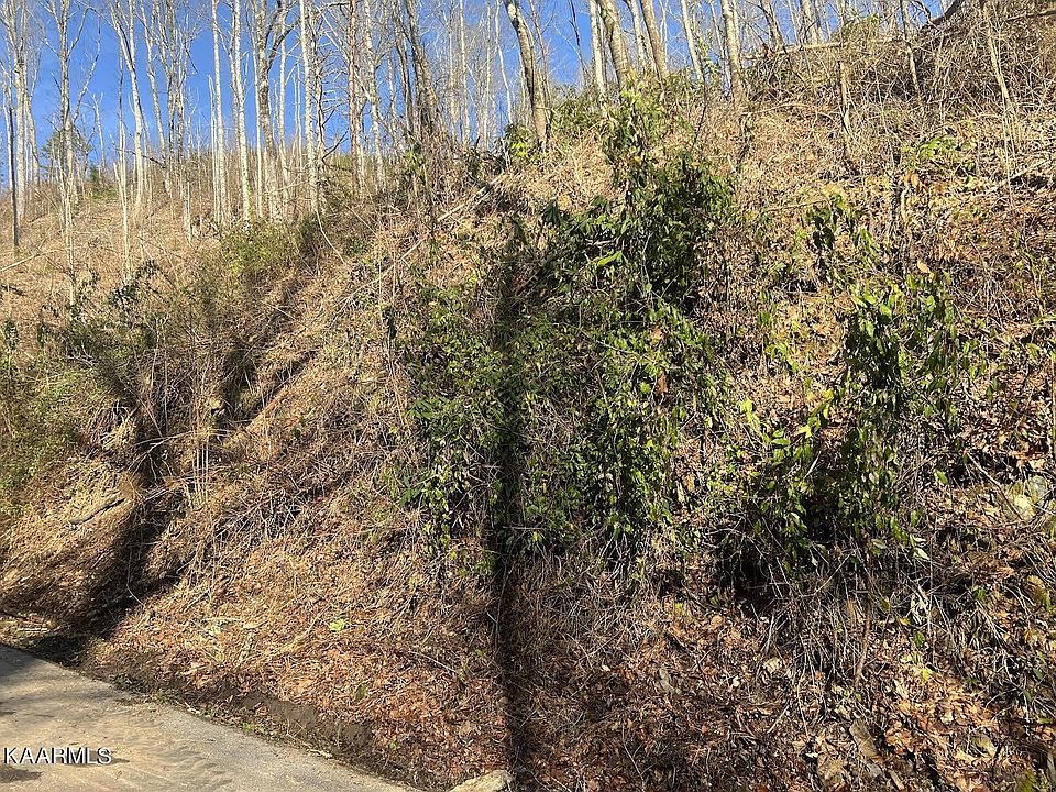 2nd image of 0 Deep Hollow Rd Lot 528
