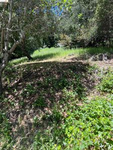 Beauforest Dr, Oakland, CA, 94611