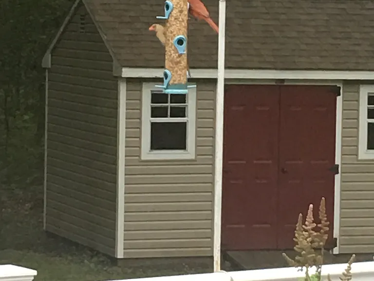 14 Emily Ln — Photo 29