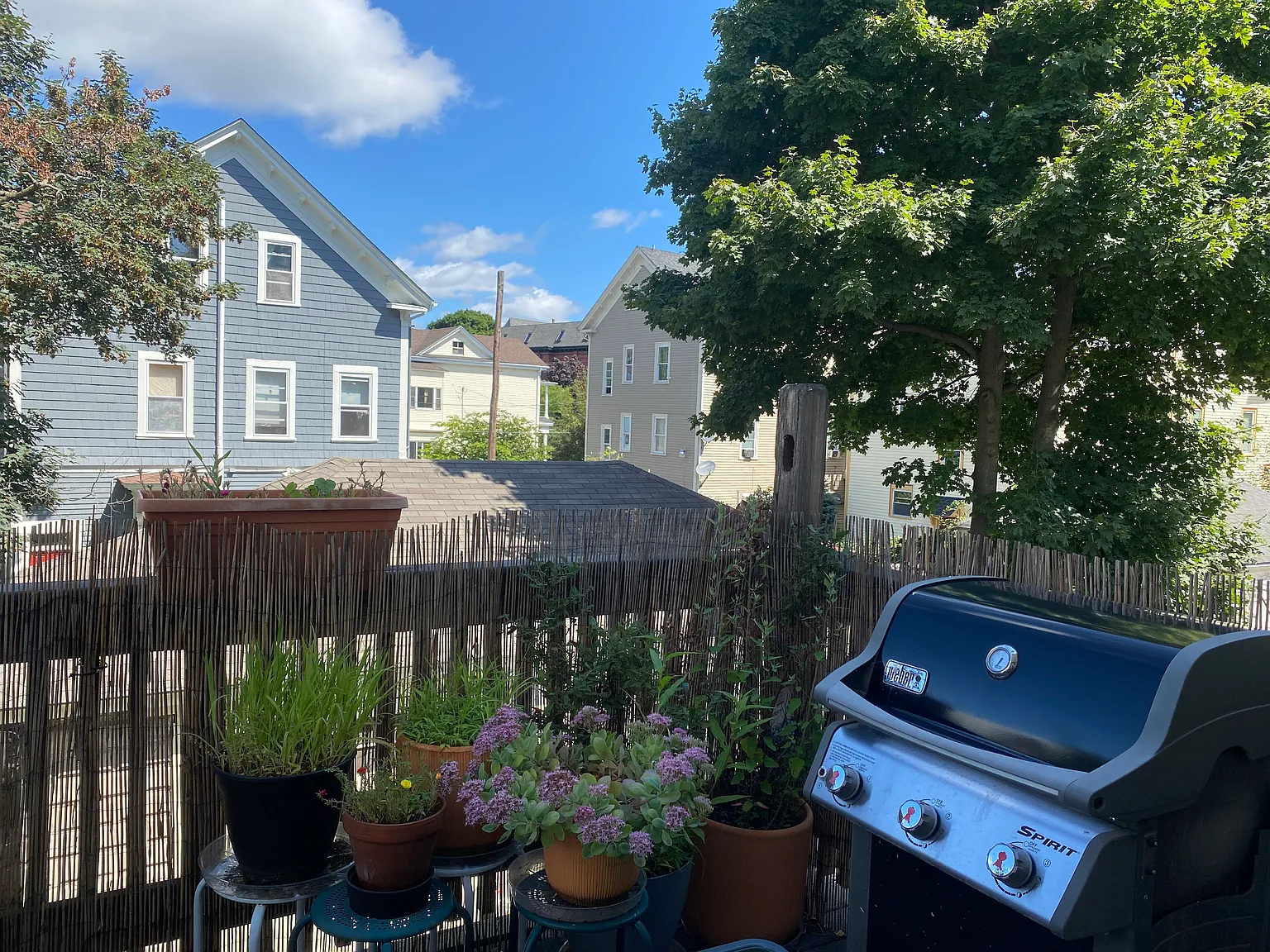 2 bed, 950 sqft, $1,950 — Photo 4