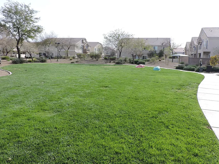 Community - Dog Park - Pic 1