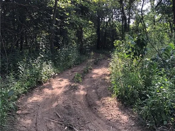 County Farm Rd, Lexington, MO 64067