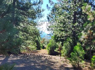 LOT 18 Nehemiah Dr, Shingletown, CA 96088