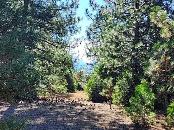 LOT 18 Nehemiah Dr, Shingletown, CA 96088