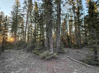 45 Happy Way, Angel Fire, NM 87710