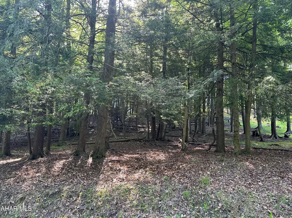 179 Grand Trunk Rd, Flinton, PA 16640