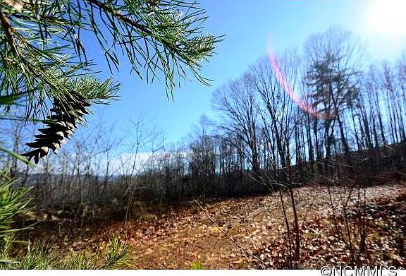 4th image of 65 Timber Moss Dr