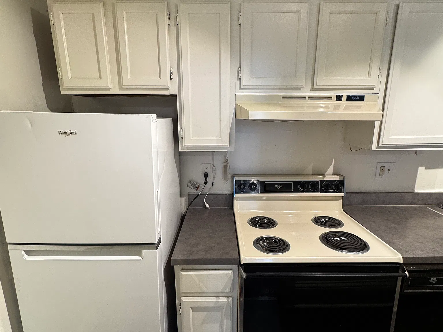 1 bed, 1000 sqft, $1,300 — Photo 3