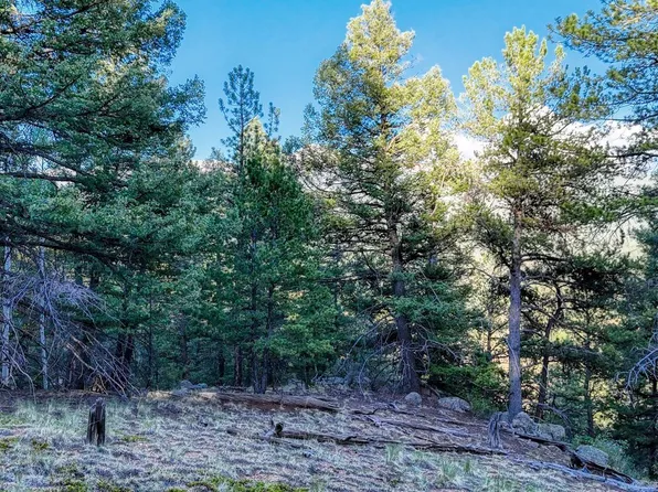 364 Blue Spruce Road LOT 23, Divide, CO 80814